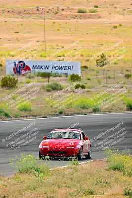 media/May-05-2024-Lucky Dog Racing (Sun) [[8a365fce5b]]/1030am-Turn 3/